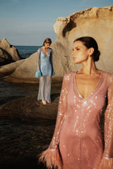 Net Dress with Feathers in Light Blue