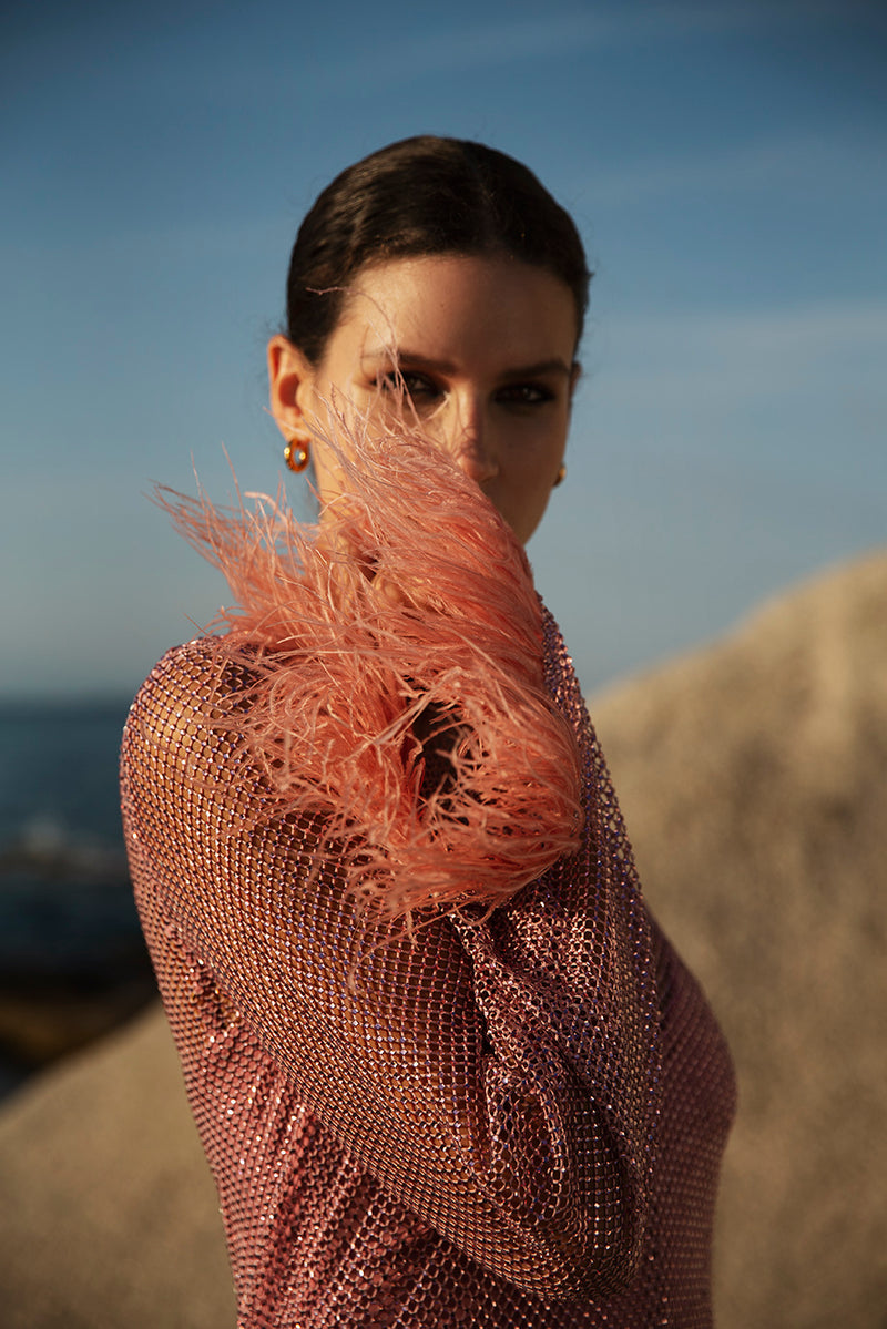 Net Dress with Feathers in Pink