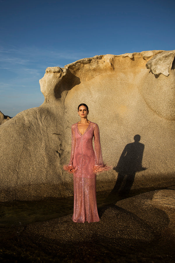 Net Dress with Feathers in Pink