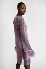 Midi Net Dress with Feathers