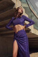 Sequin Set of Top and Skirt